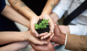 072025-website-Blog-thumbnail-OurSustainabilityJourneyatNavVis (1)